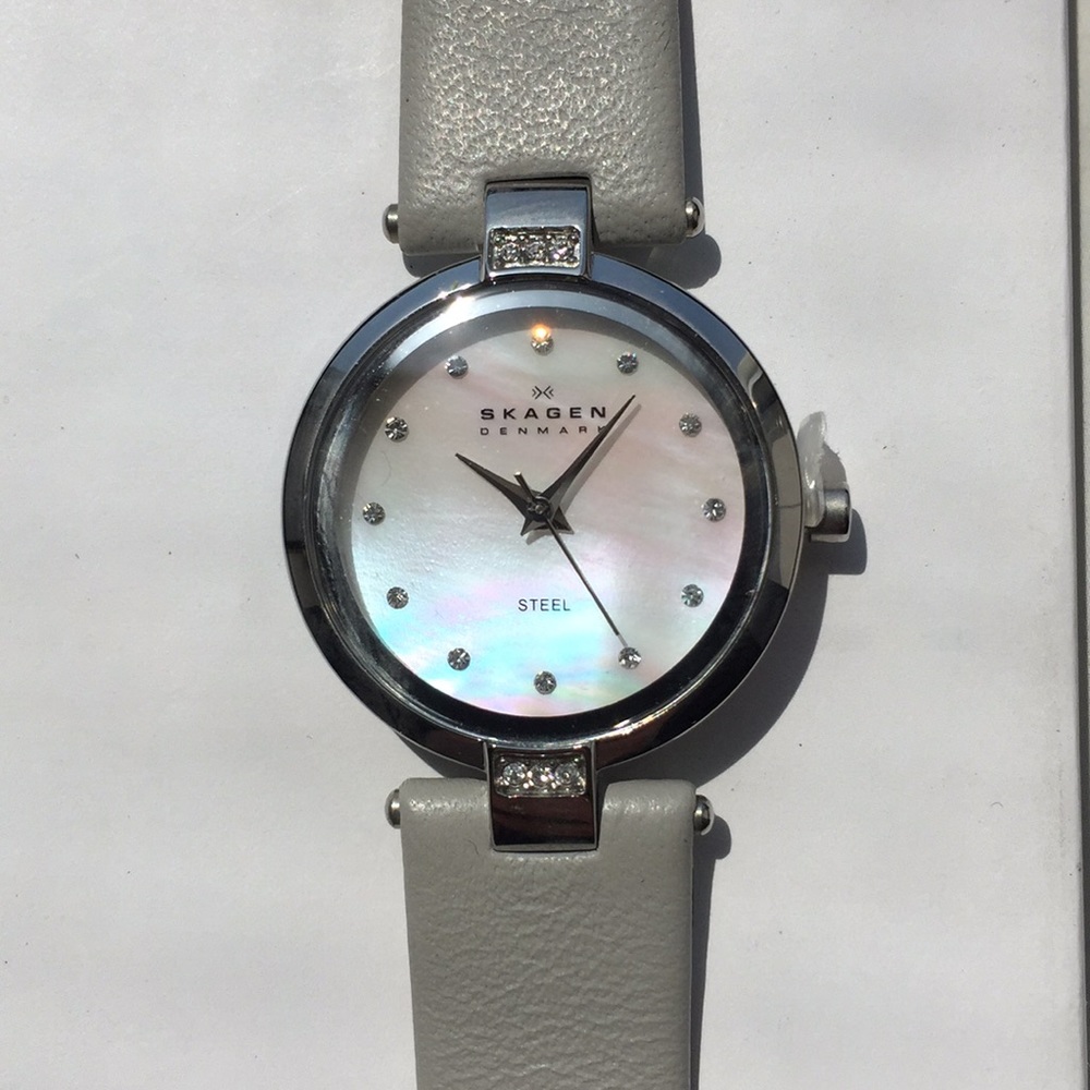 Skagen Watch